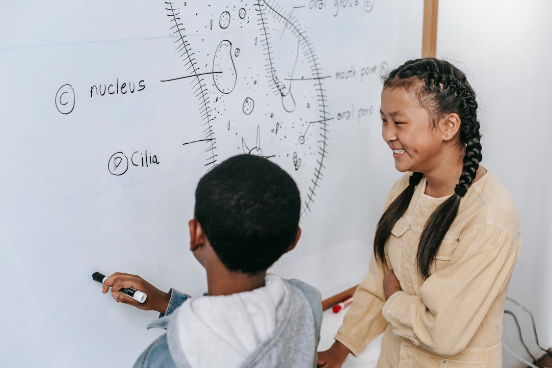 Psicopedagogia e Apoio Escolar: Como Ajudamos Crianças com Dificuldades de Aprendizagem